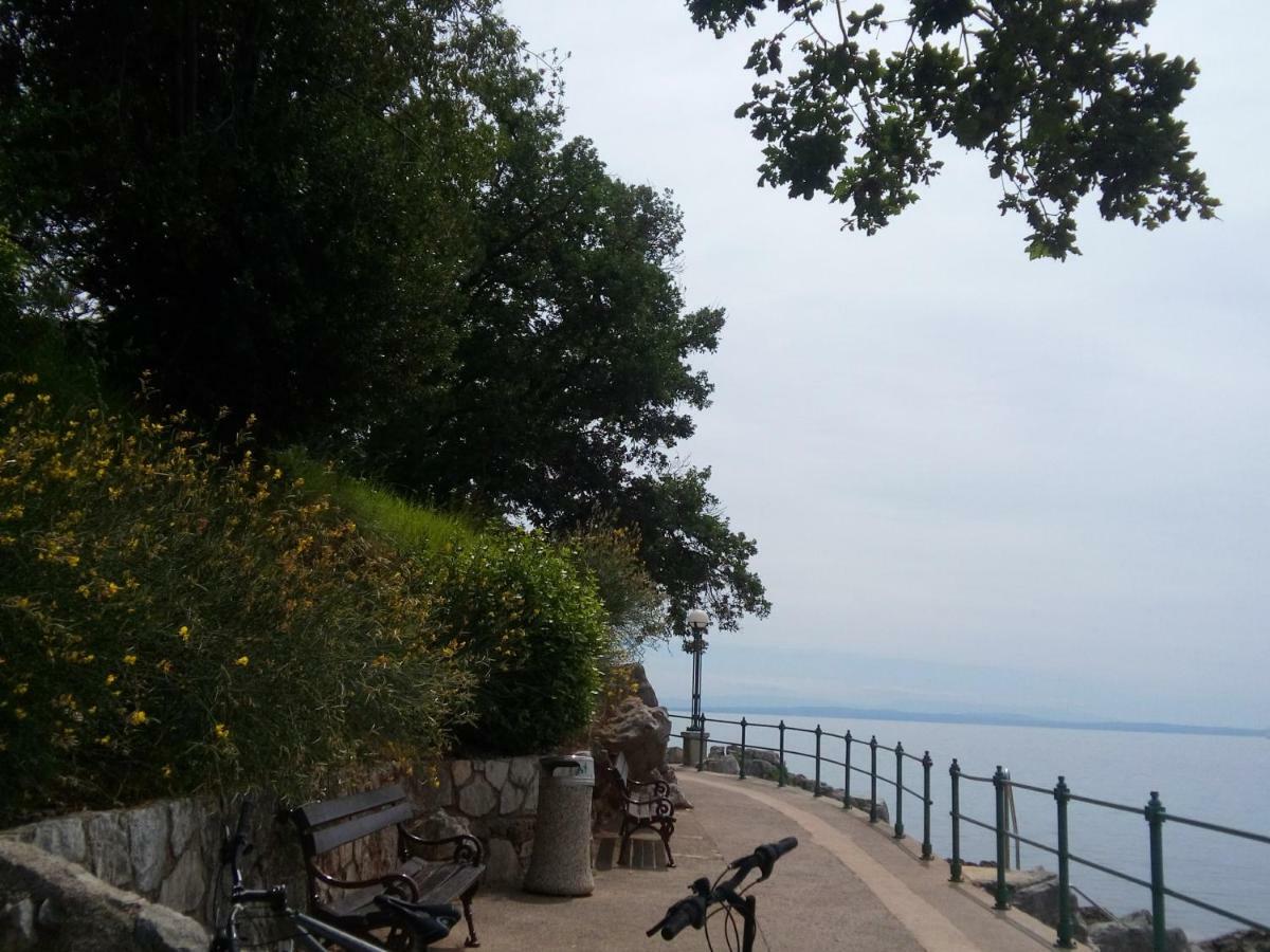 Villa Zajednica Ičići エクステリア 写真